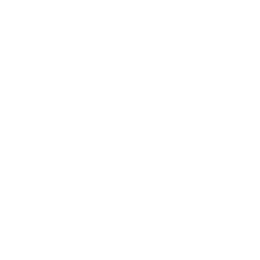 Speed Optimization